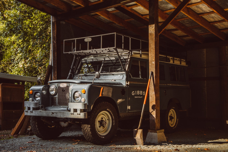 gibbs vinyards