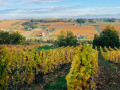 domaine laurent veyrat vineyards november