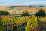 domaine laurent veyrat vineyards november