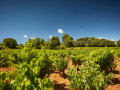 cellier des princes