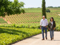 pago de los capellanes owners vineyards
