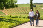 pago de los capellanes owners vineyards