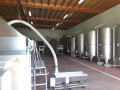 domaine philippe milan cellar during harvest