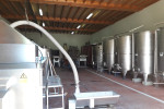 domaine philippe milan cellar during harvest