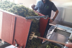 domaine philippe milan karl in the cellar during harvest