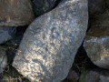 setriolo soil
