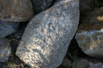 setriolo soil
