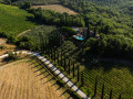 setriolo winery03