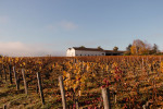 sociando mallet vineyards