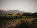 tenuta ferrata train tracks
