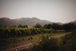 tenuta ferrata train tracks