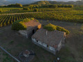 tenuta ferrata vineyards farm