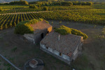 tenuta ferrata vineyards farm