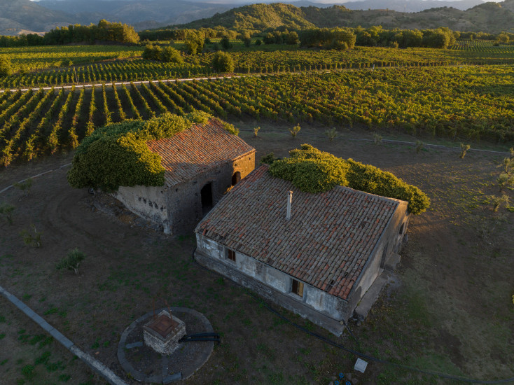tenuta ferrata vineyards farm