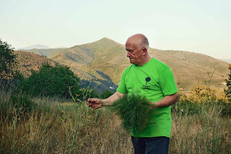 nonna anna harvest