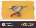 ferrata_etna_bianco_veni_contrada_caristia_nv_hq_label